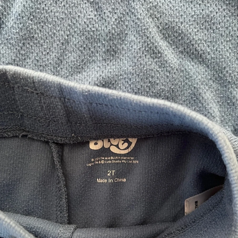 🌸4/$25 Bluey Blue T-shirt and Shorts Set - Picture 4 of 6